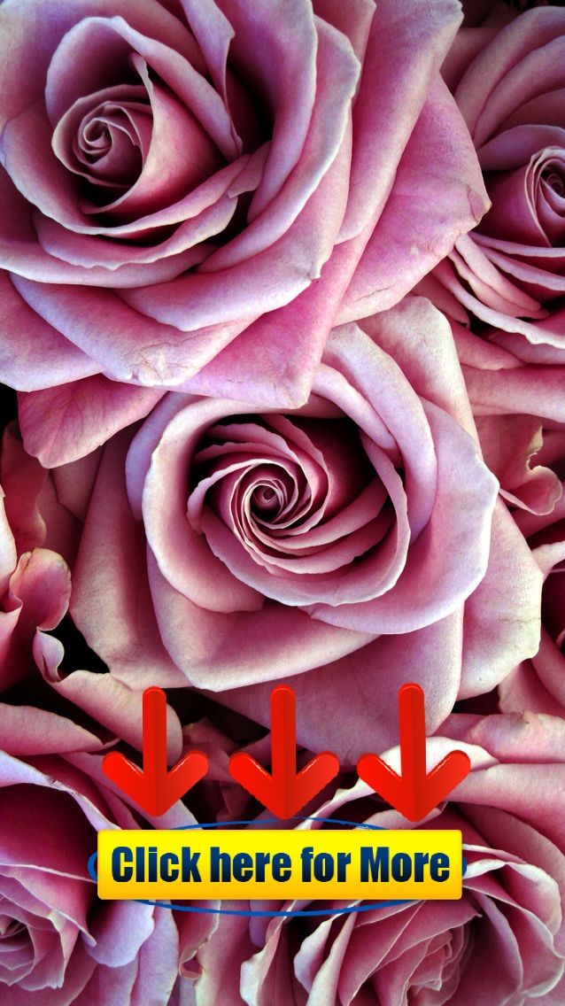 Nature Wallpaper Iphone Flowers Pink Roses - Rose Gold Flower Wallpaper For Iphone , HD Wallpaper & Backgrounds