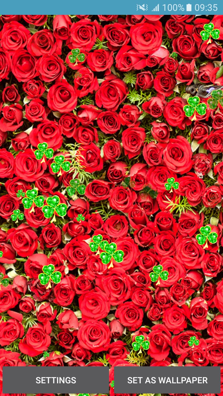 Live Wallpapers - Roses - Next - Photography , HD Wallpaper & Backgrounds