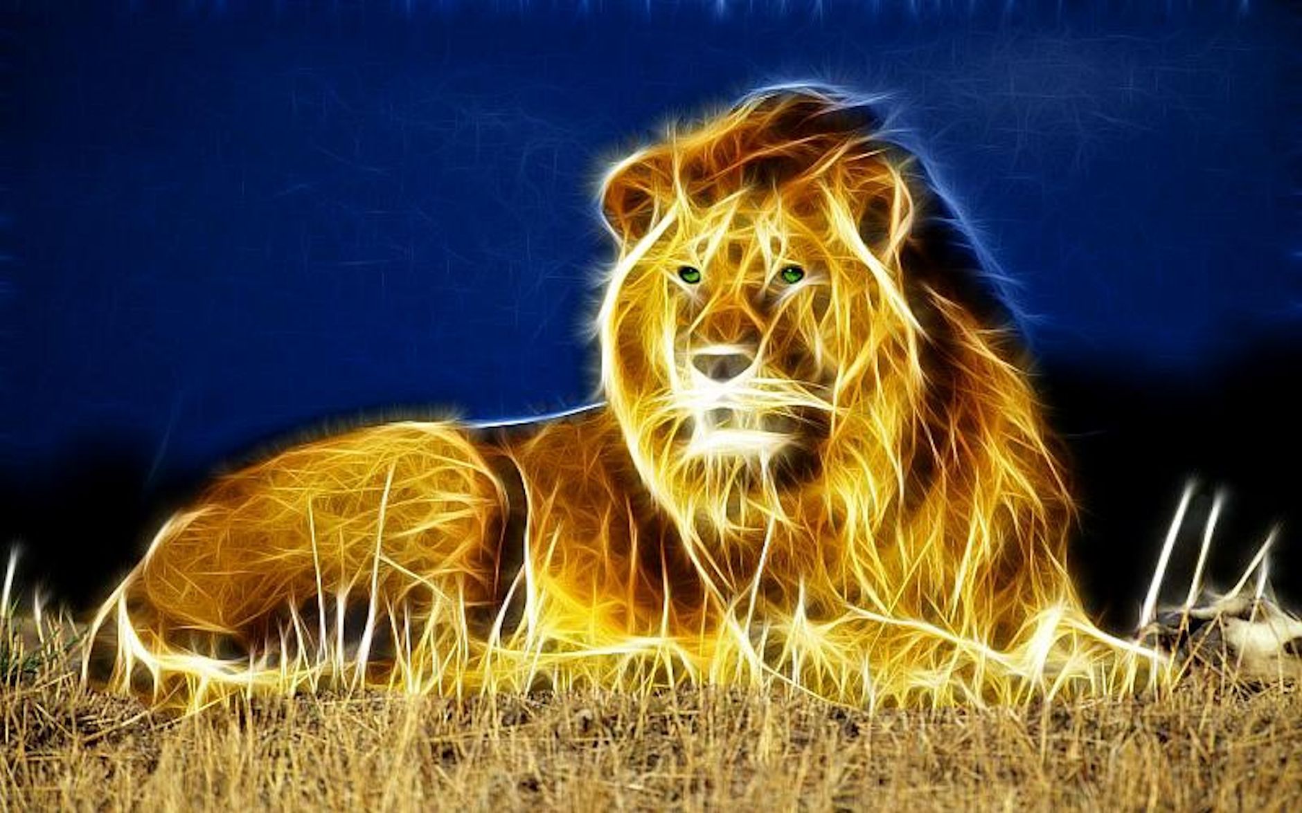 Nature Wallpaper - High Resolution Lion Wallpaper Hd , HD Wallpaper & Backgrounds