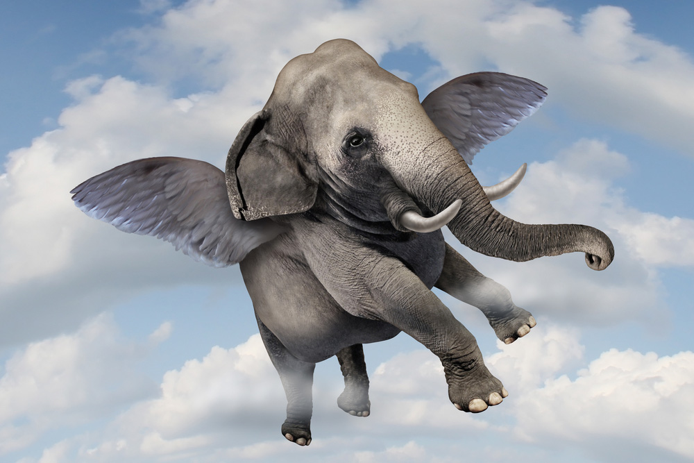 Source - Http - //grist - Files - Wordpress - Com - Flying Elephant , HD Wallpaper & Backgrounds
