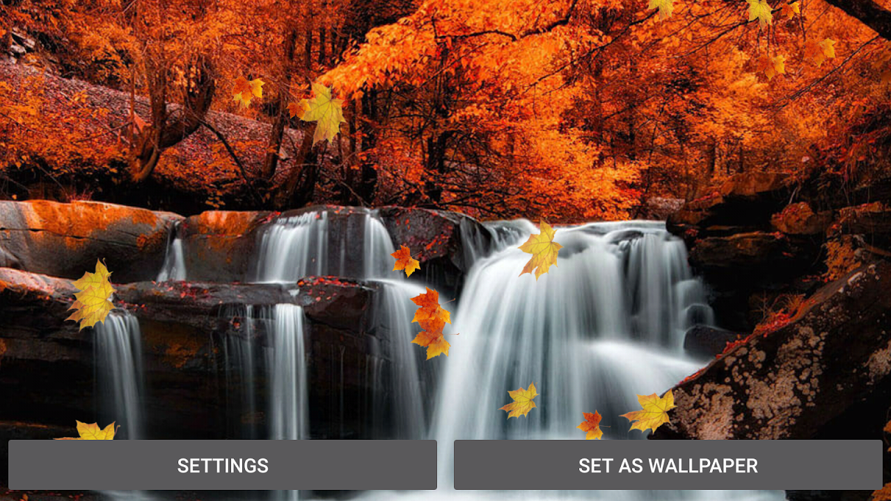 Leaf On Water Live Wallpaper Latest Version Apk - Fall Pictures Waterfall , HD Wallpaper & Backgrounds