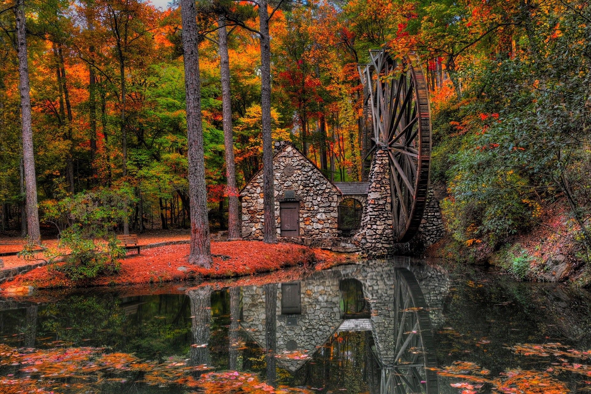 Autumn Leaves On Water Live Wallpaper In Hd - Autumn Forest Water , HD Wallpaper & Backgrounds