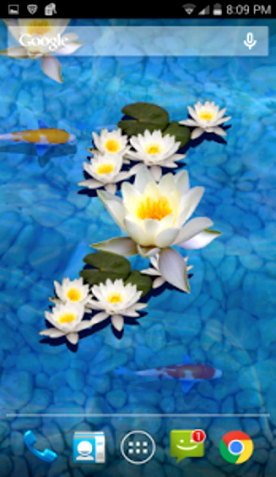 3d Fish Pond Live Wallpaper For Android Download - Fishpond , HD Wallpaper & Backgrounds