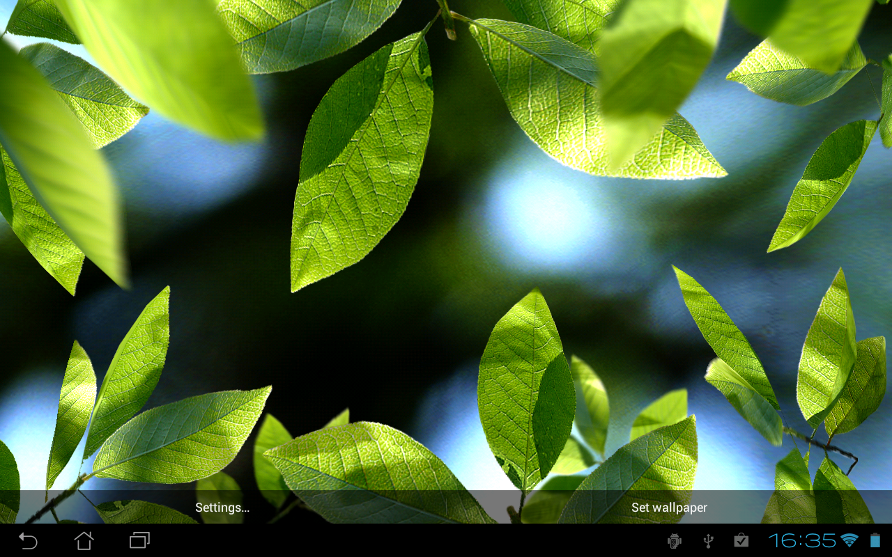 Maple Leaf Water Live Wallpaper ✓ Gadget And Pc Wallpaper - Leaves Live , HD Wallpaper & Backgrounds