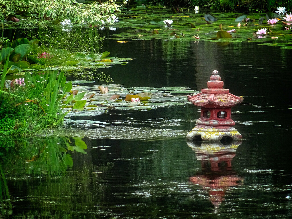 Bennetts Water Gardens - Fish Pond , HD Wallpaper & Backgrounds