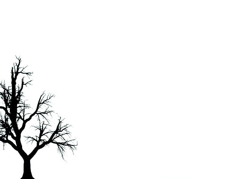 Branches Pictures And Wallpapers - Silhouette , HD Wallpaper & Backgrounds
