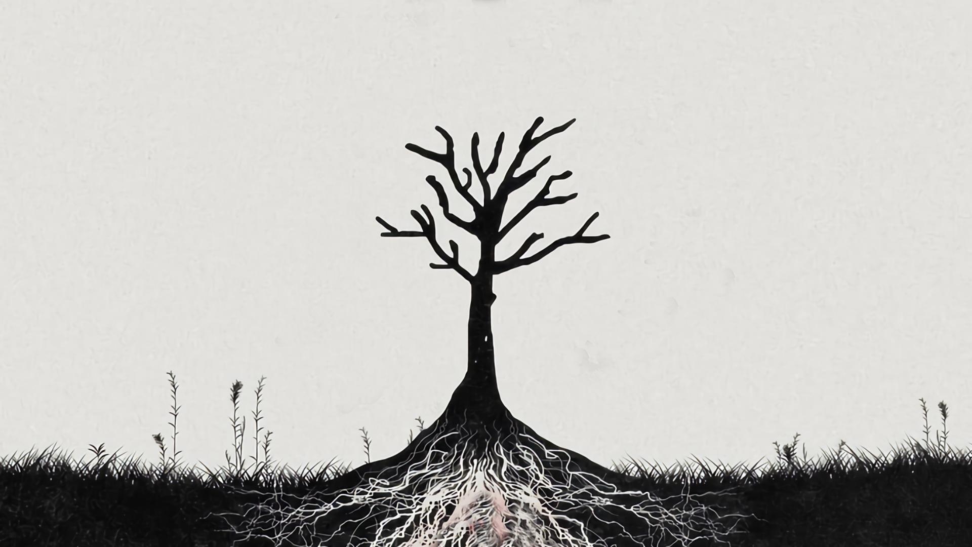The Tree Desktop Background High Resolution Members Only Vol 4
