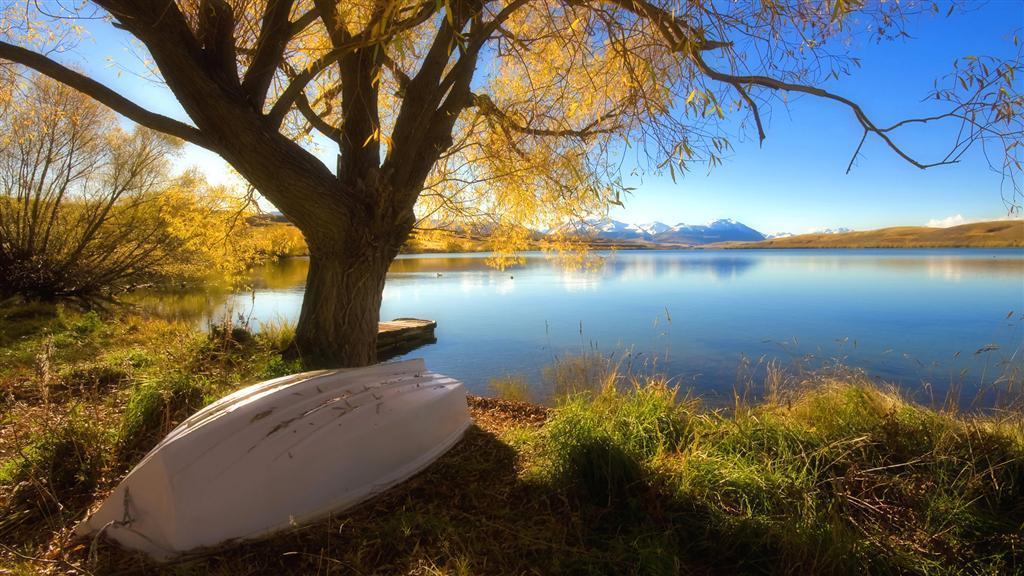 Wallpaper-white Boat Under Yellow Tree - Scenery Image Hd Download , HD Wallpaper & Backgrounds
