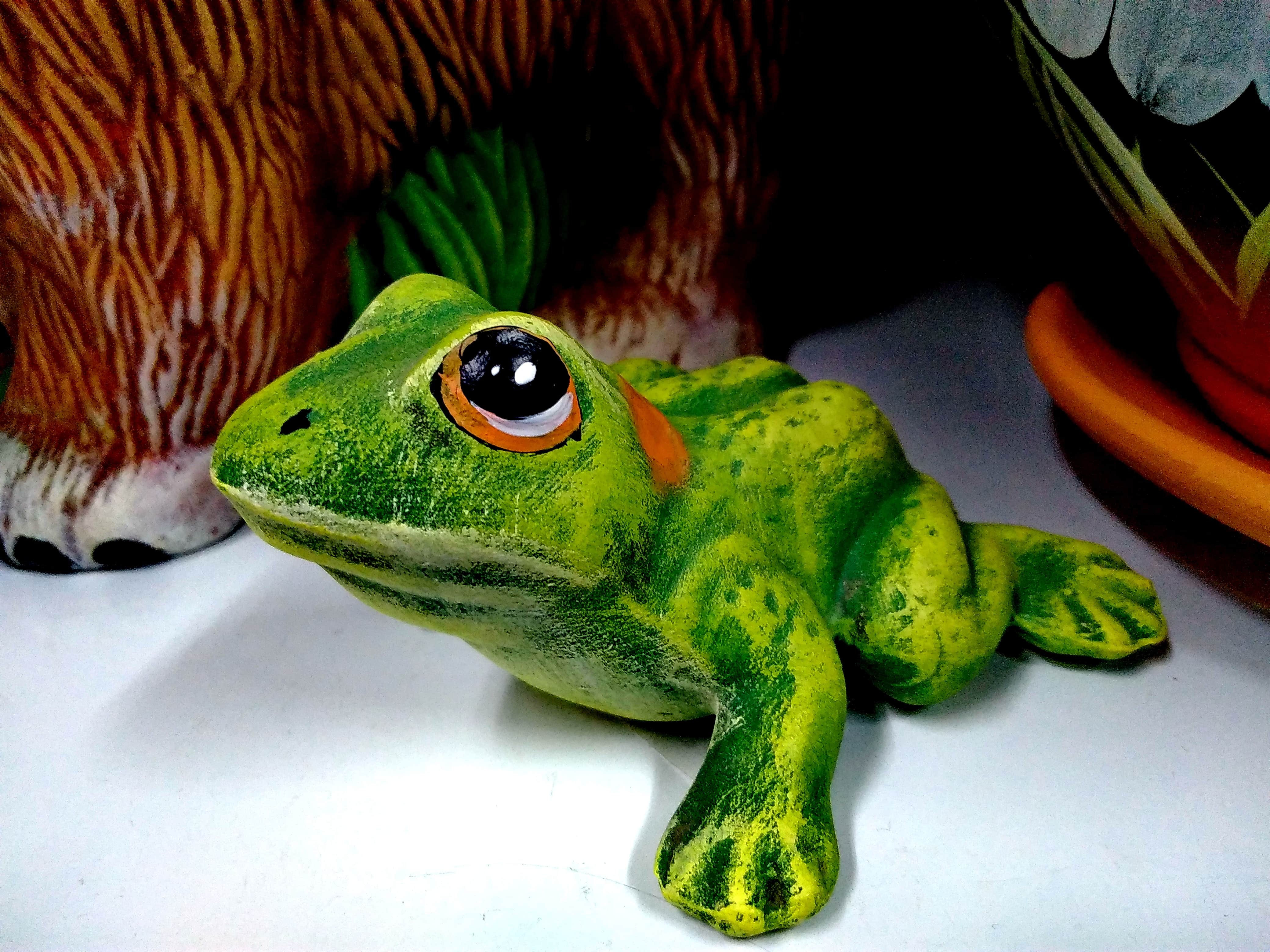 Bahan, Objek, Plastik, Mainan, Toko Mainan, Mata, Satwa - Red-eyed Tree Frog , HD Wallpaper & Backgrounds