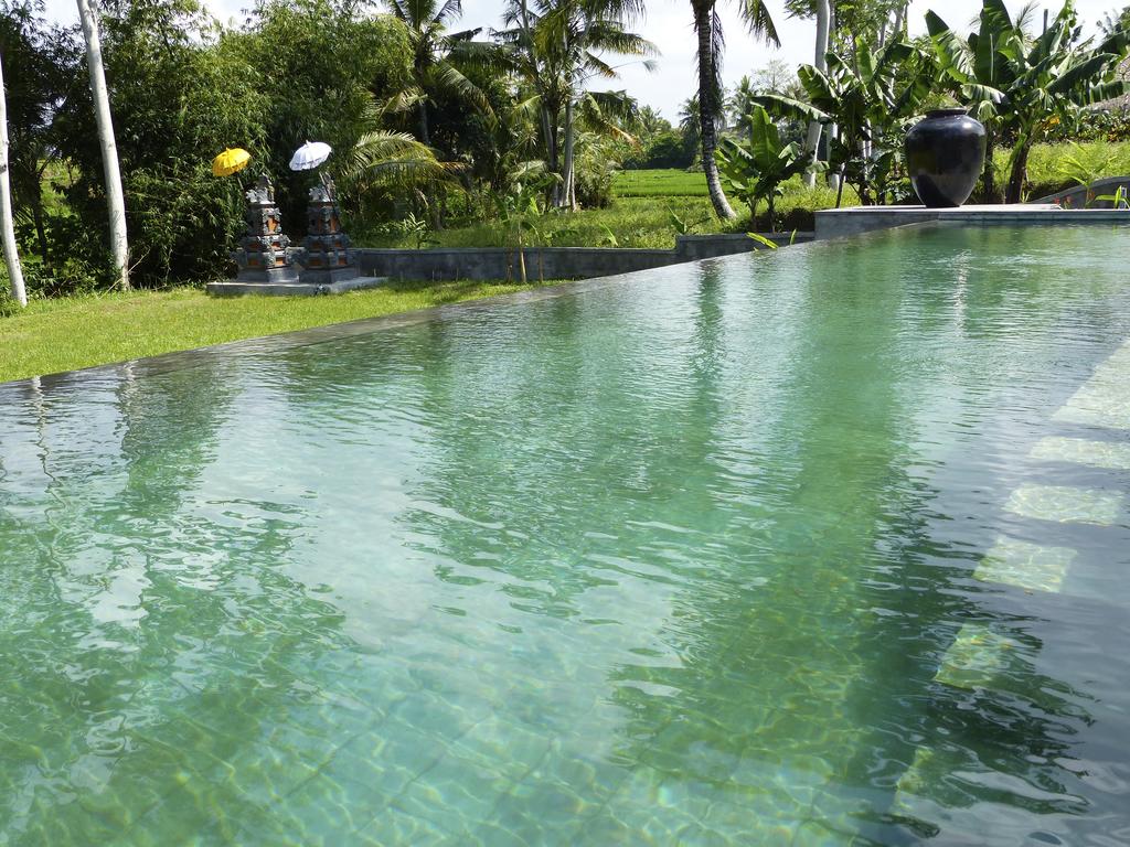 Villa Có Hồ Bơi Riêng - Swimming Pool , HD Wallpaper & Backgrounds