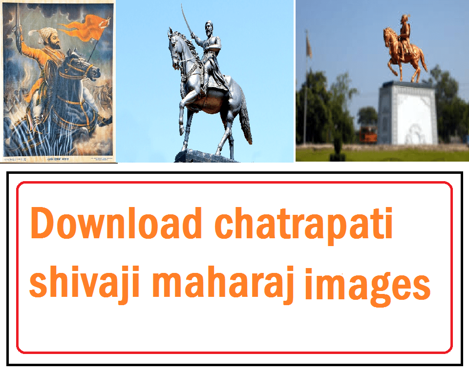 Shivaji Maharaj Images - Stallion , HD Wallpaper & Backgrounds