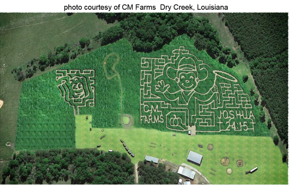 Here Is A Short List Of Corn Mazes For Louisiana - Lawn , HD Wallpaper & Backgrounds