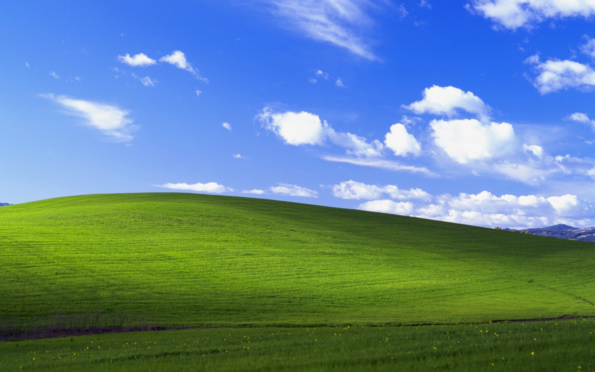 It's Probably The Most Viewed Photo Of All Time - Imagen De Windows Xp , HD Wallpaper & Backgrounds