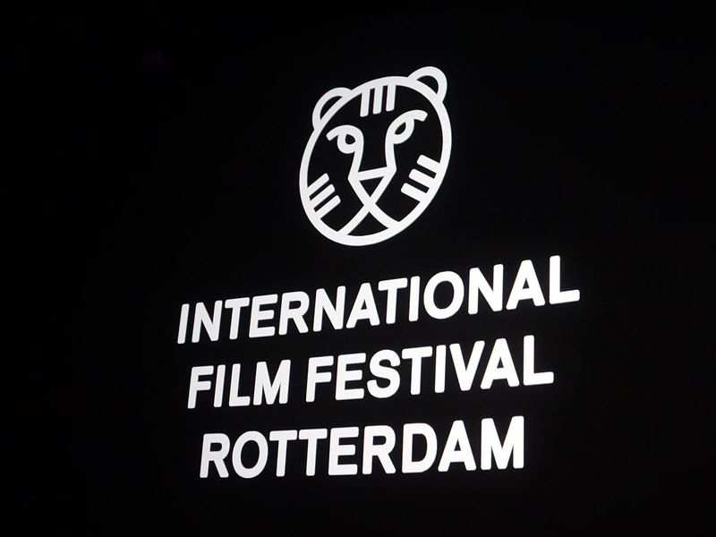 Rotterdam Script Fund Backs Two Indian Films - Festival International Du Film De Rotterdam , HD Wallpaper & Backgrounds