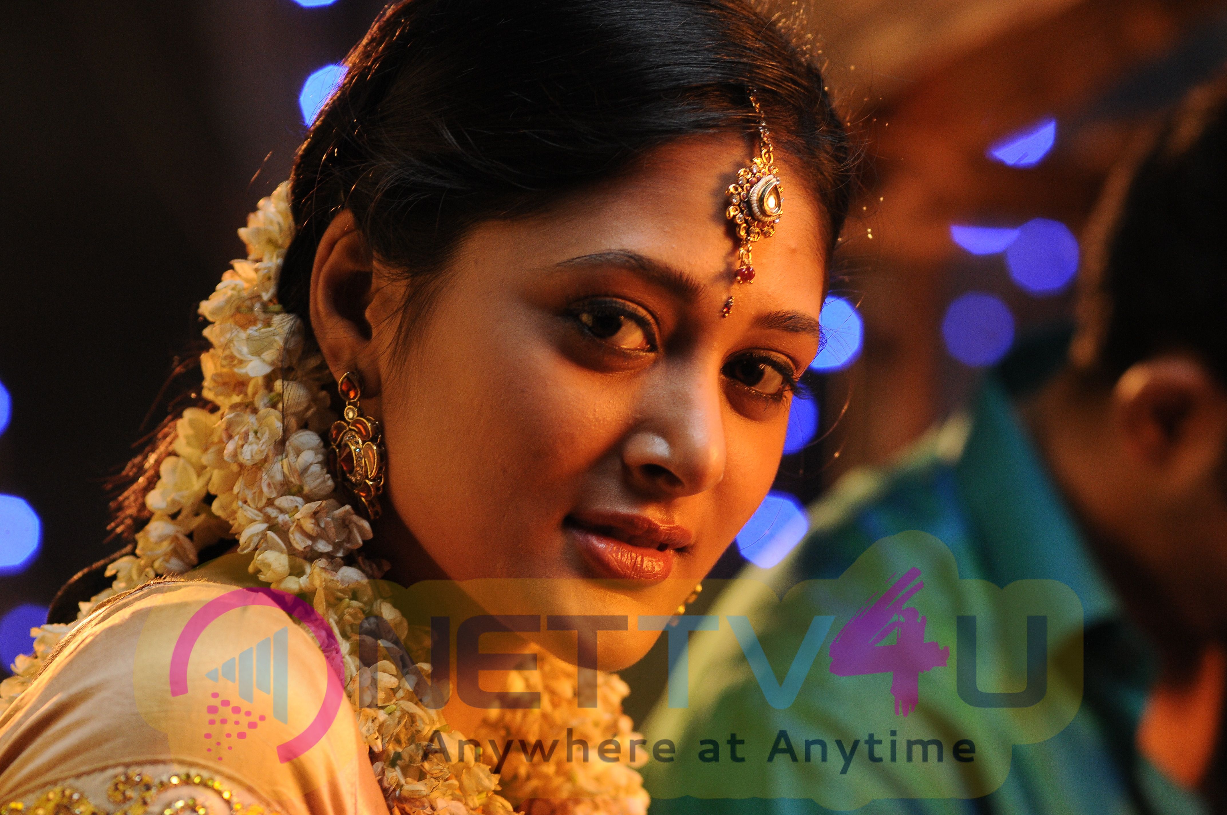 Actresses Sushma Raj New Images - Actress Sushma Raj Photo Saree , HD Wallpaper & Backgrounds
