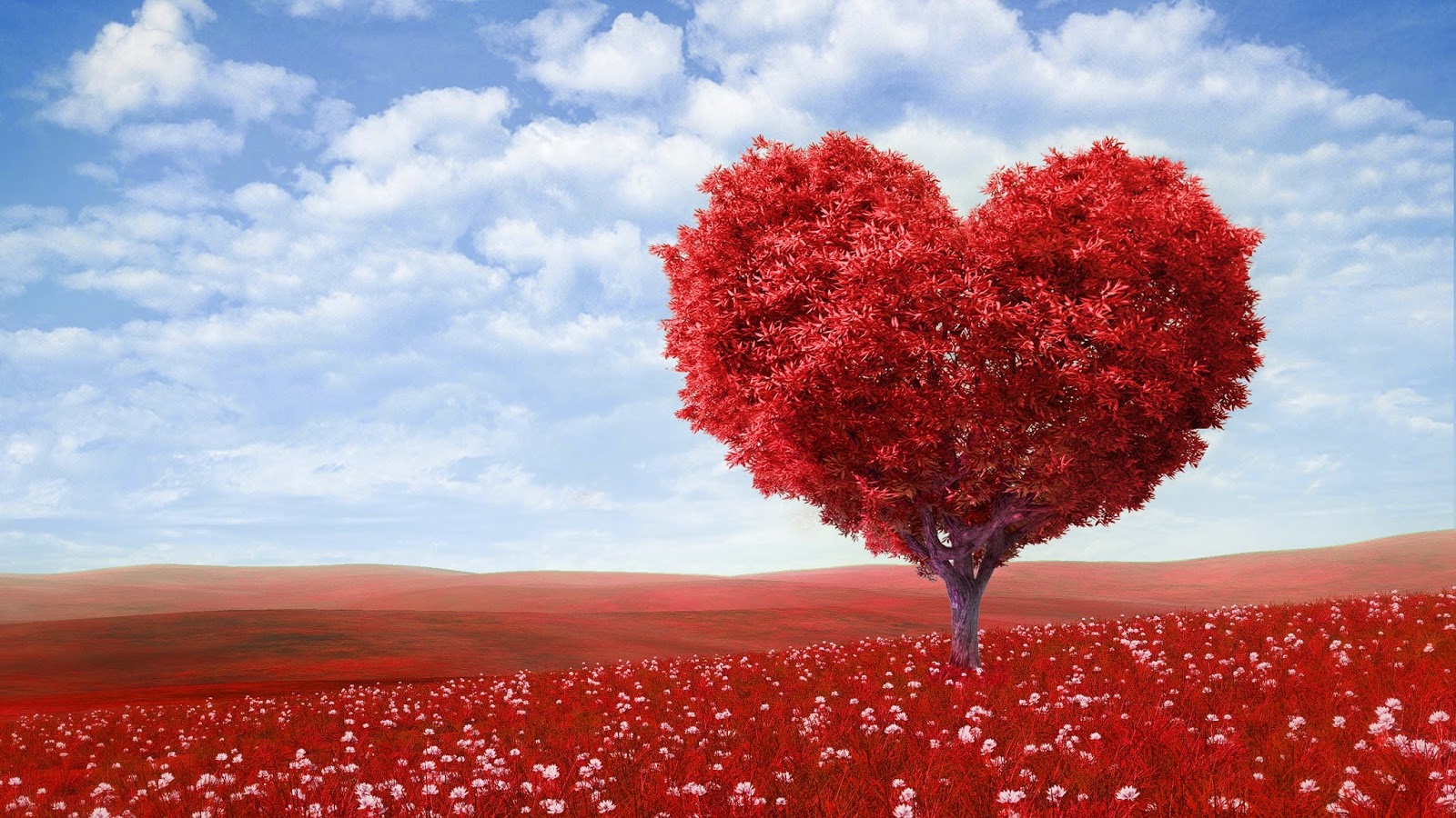 Hd Wallpapers Hdwallpapers Org In Love Heart Tree - Love Backgrounds For Photoshop , HD Wallpaper & Backgrounds