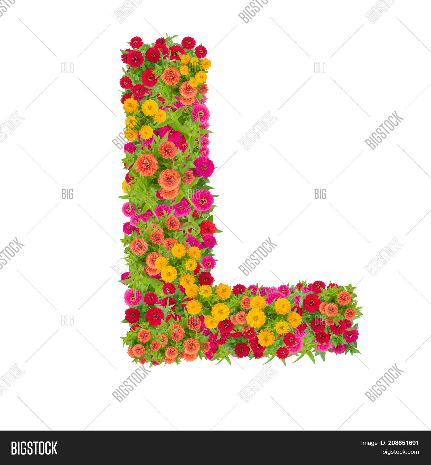 Letter L Alphabet Made From Zinnia Flower Abc Type - K Symbol Images With Flowers , HD Wallpaper & Backgrounds