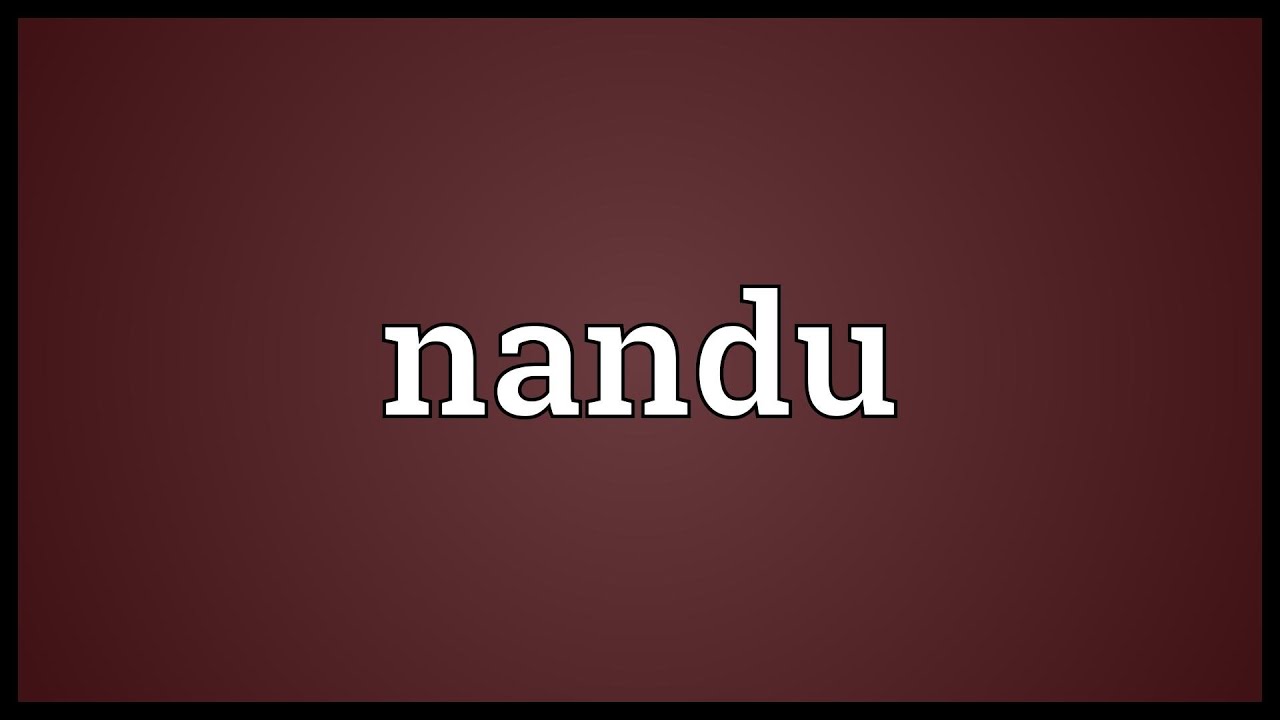 Nandu Meaning - Graphic Design , HD Wallpaper & Backgrounds