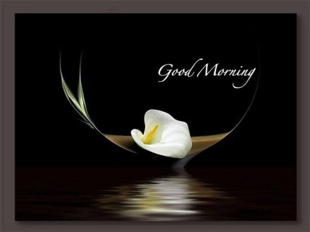 Gud Morning Wallpaper Download - Good Morning Hd 3d , HD Wallpaper & Backgrounds