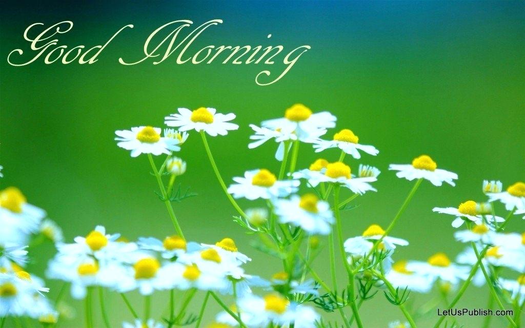 Good Morning Wallpaper Together With Good Morning Wallpapers - Good Morning Hd Walpaper , HD Wallpaper & Backgrounds