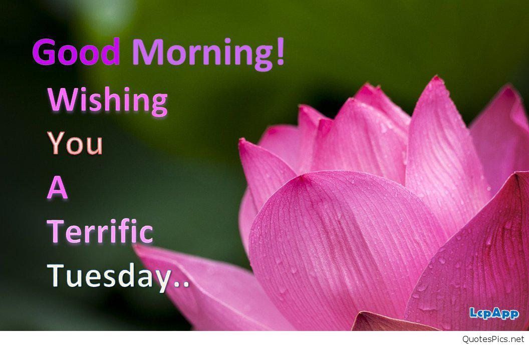 30 Good Morning Tuesday Images Pictures Quotes And Good Morning