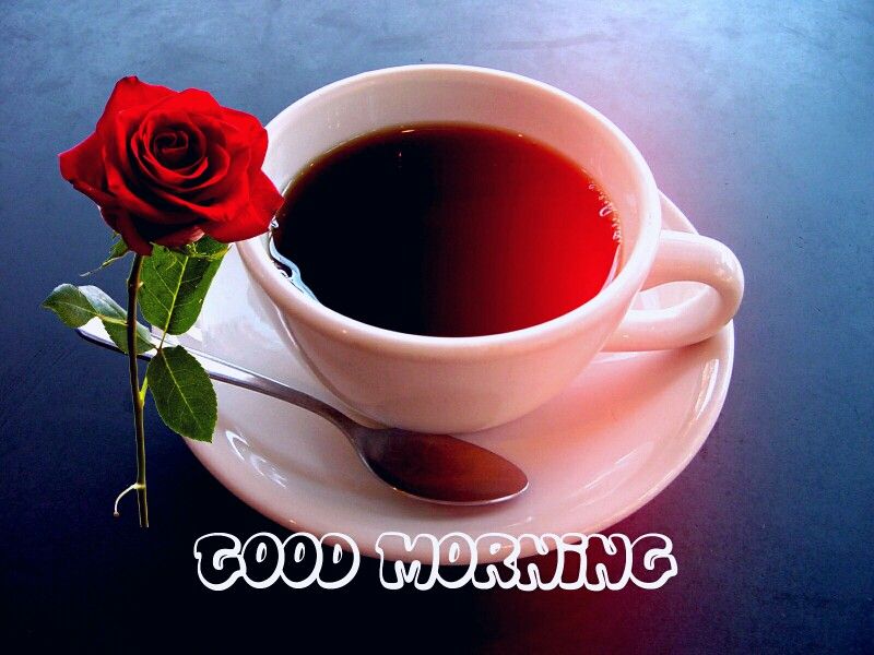 Good Morning Coffee & Red Rose - Good Morning With Tee , HD Wallpaper & Backgrounds