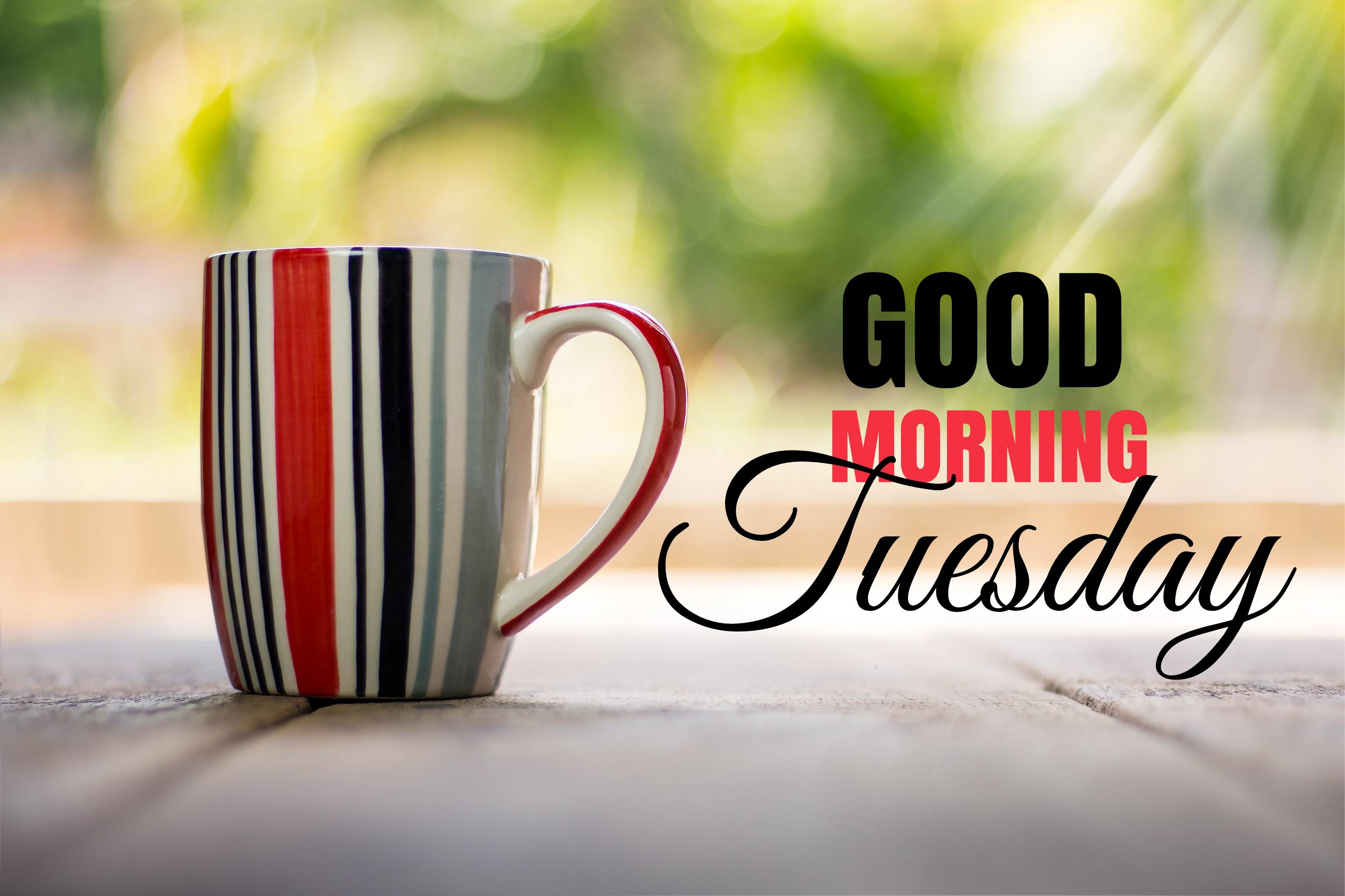 Good Morning Tuesday 4k Ha Wallpaper - Good Morning Tuesday , HD Wallpaper & Backgrounds