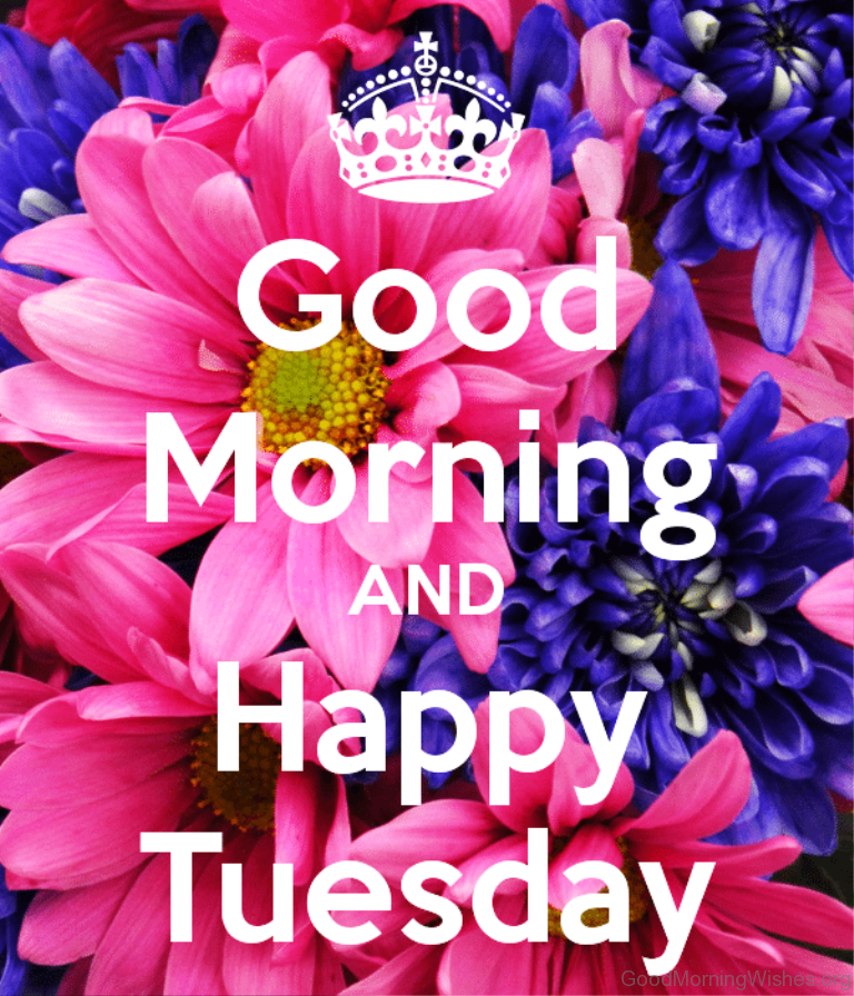 Good Morning And Happy Tuesday - Tuesday Good Morning Love , HD Wallpaper & Backgrounds