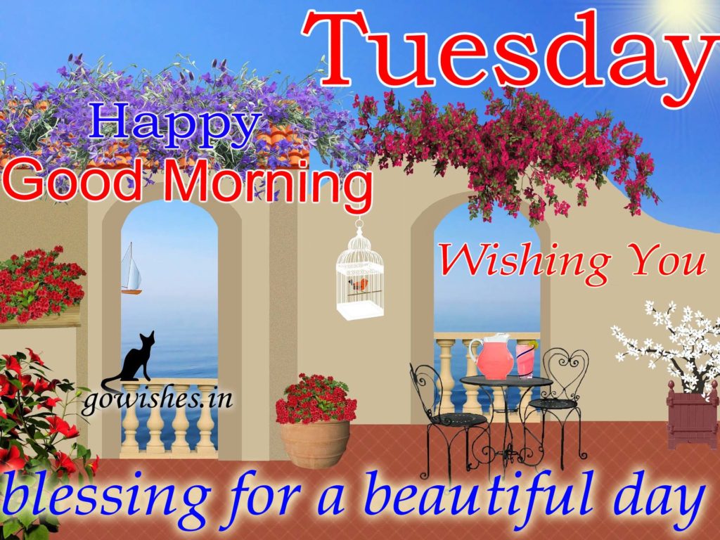Happy Tuesday Good Morning Image - Poster , HD Wallpaper & Backgrounds