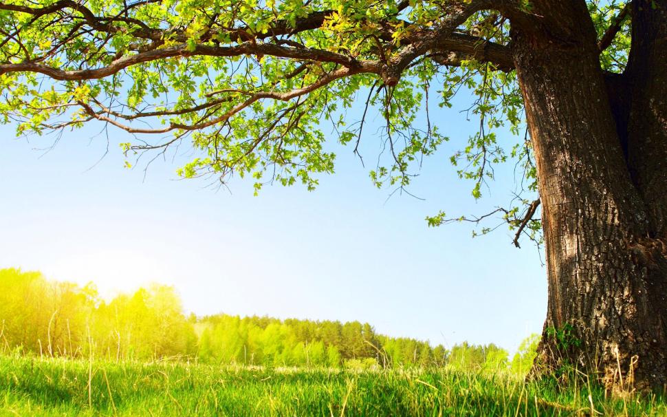 A Good Day Wallpaper - Wishing You A Better Day Than Yesterday , HD Wallpaper & Backgrounds