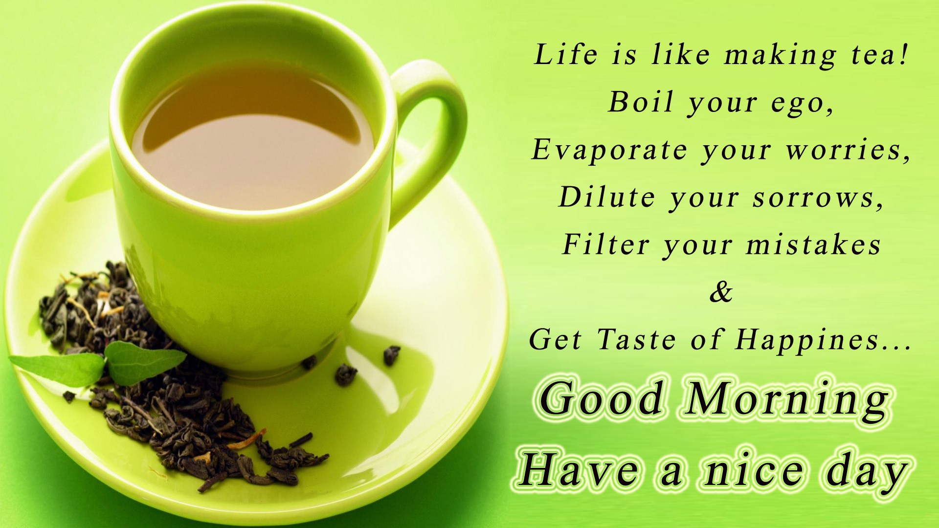 Download Good Morning Have A Nice Day Wallpapers Gallery - Best Wishes On This Morning , HD Wallpaper & Backgrounds