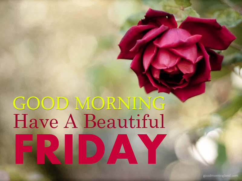 Download - Friday Good Morning Message , HD Wallpaper & Backgrounds