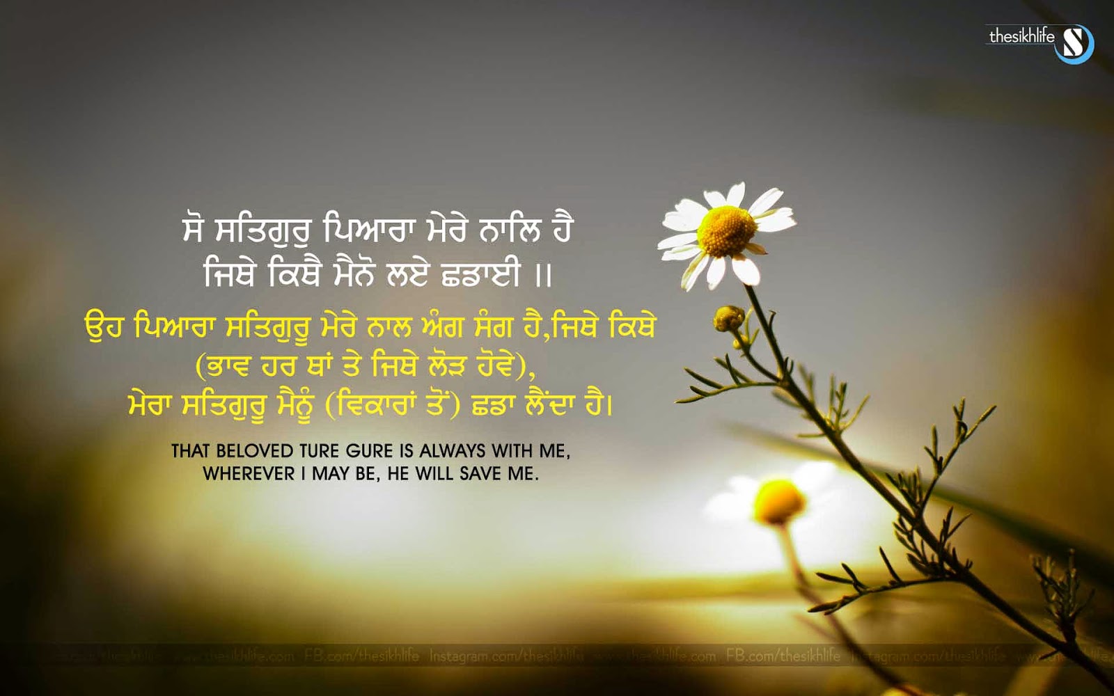 Punjabi Good Morning Wallpaper - Blur Flower Background Hd , HD Wallpaper & Backgrounds