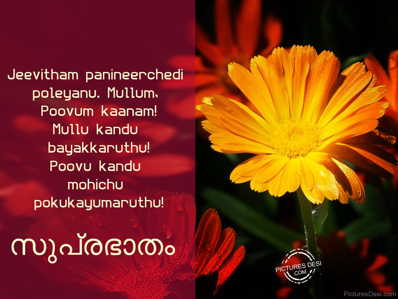 Malayalam Good Morning Wallpapers - Good Morning In Malayalam Words , HD Wallpaper & Backgrounds