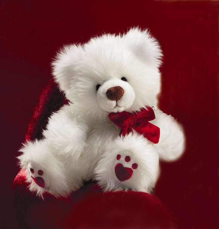 Good Night Teddy Bear Wallpaper - White Teddy Bear With Roses , HD Wallpaper & Backgrounds