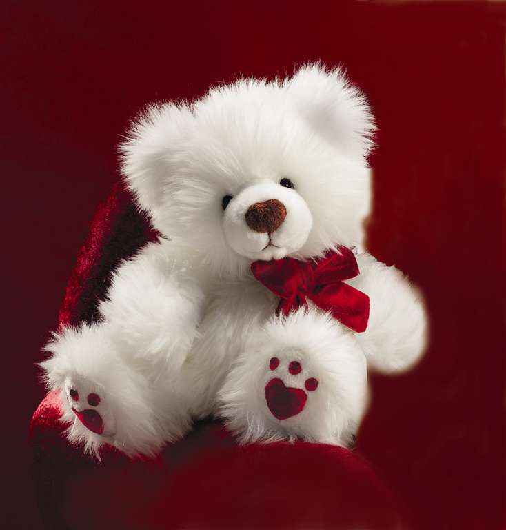 Good Night Teddy Bear Wallpaper White Teddy Bear With Roses
