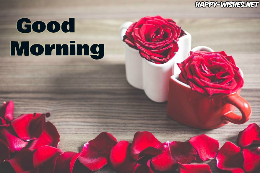 Good Evening Rose Wallpaper - Red Rose Good Morning Wishes , HD Wallpaper & Backgrounds