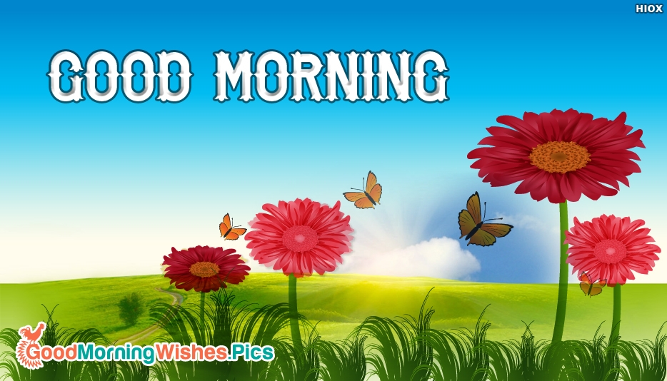 Good Morning Wallpaper Free Download - Good Morning Photos Free Downloading , HD Wallpaper & Backgrounds