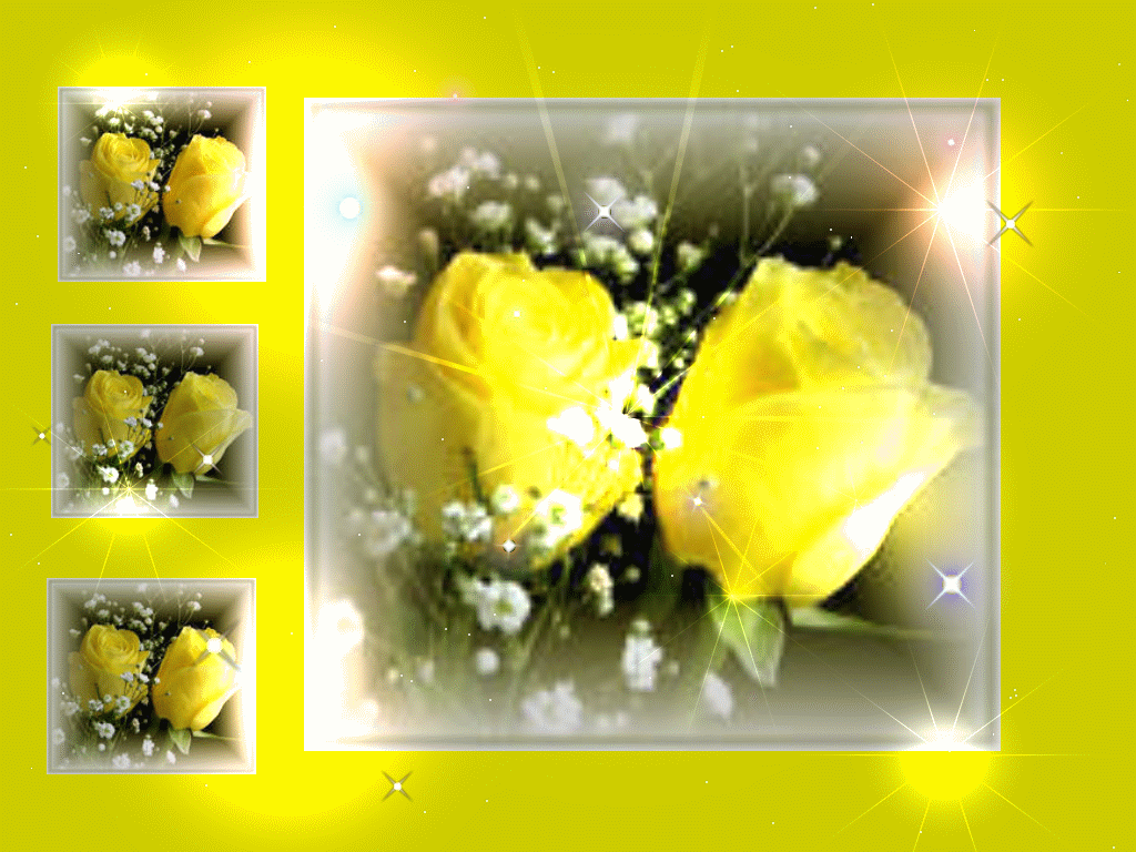 Rose In Yellow Colour , HD Wallpaper & Backgrounds