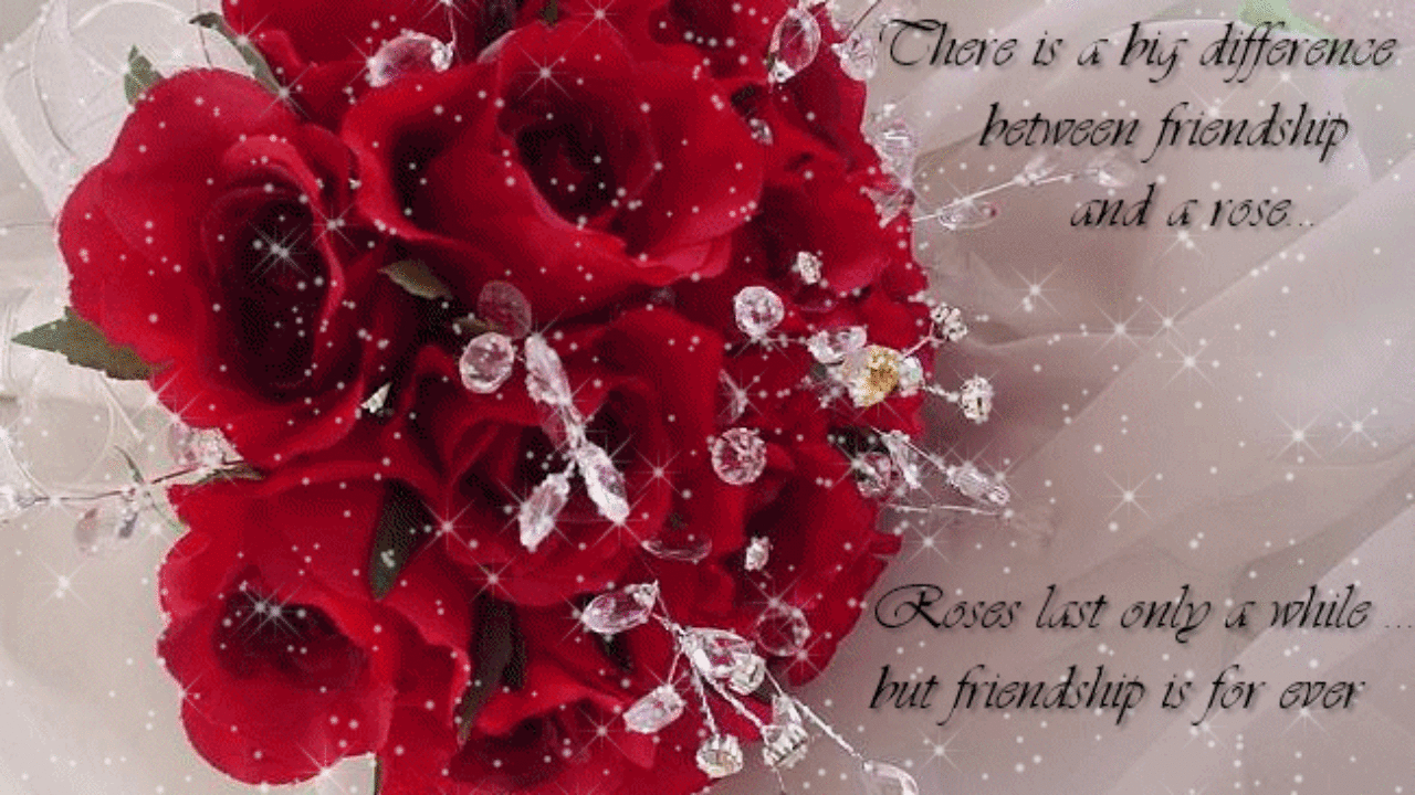 Roses With Friendship Quotes , HD Wallpaper & Backgrounds