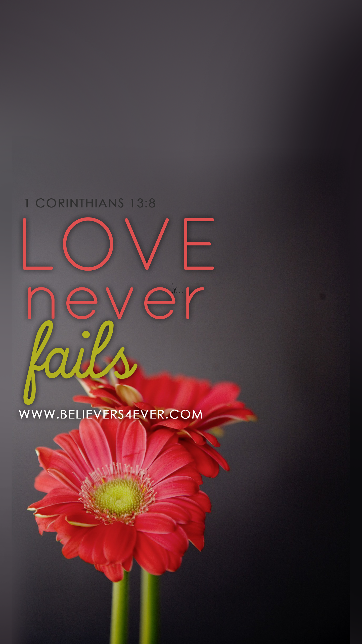 Love Never Fails - Love Never Fails Phone , HD Wallpaper & Backgrounds