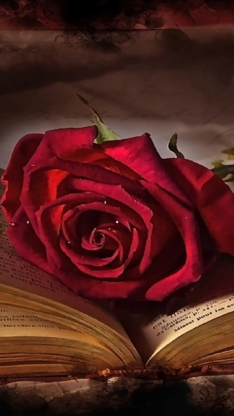 Photography / Love Mobile Wallpaper - Red Rose In Book Love , HD Wallpaper & Backgrounds