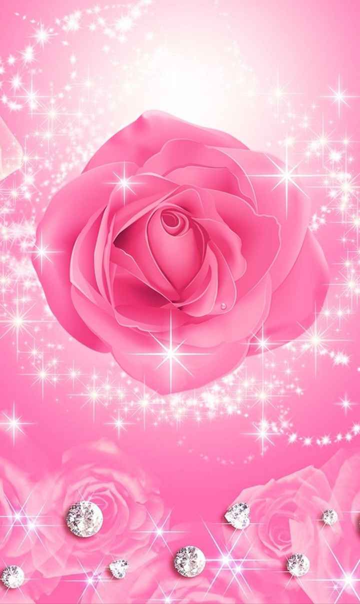 Mobile Wallpaper Sharechat Garden Roses 817493 Hd Mobile Wallpaper Sharechat Garden Roses 817493 Hd