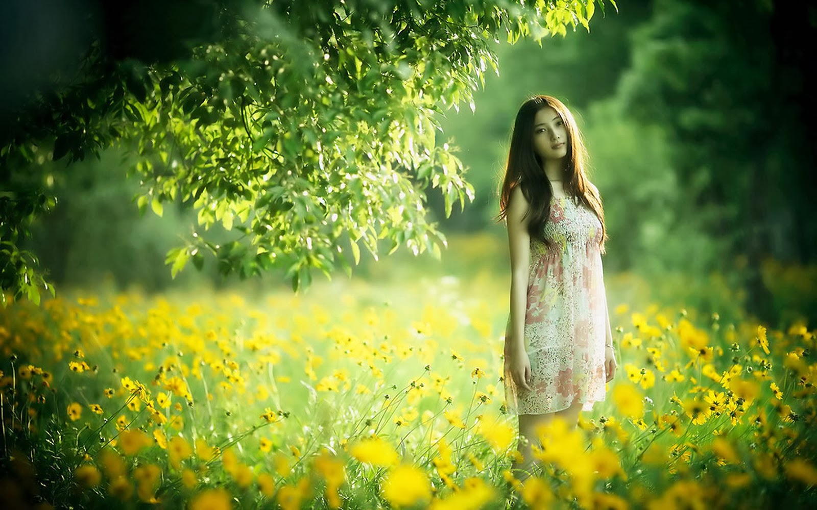 Green Nature Love, Green Nature Love Wallpaper, Nature - Beautiful Girl In Garden , HD Wallpaper & Backgrounds