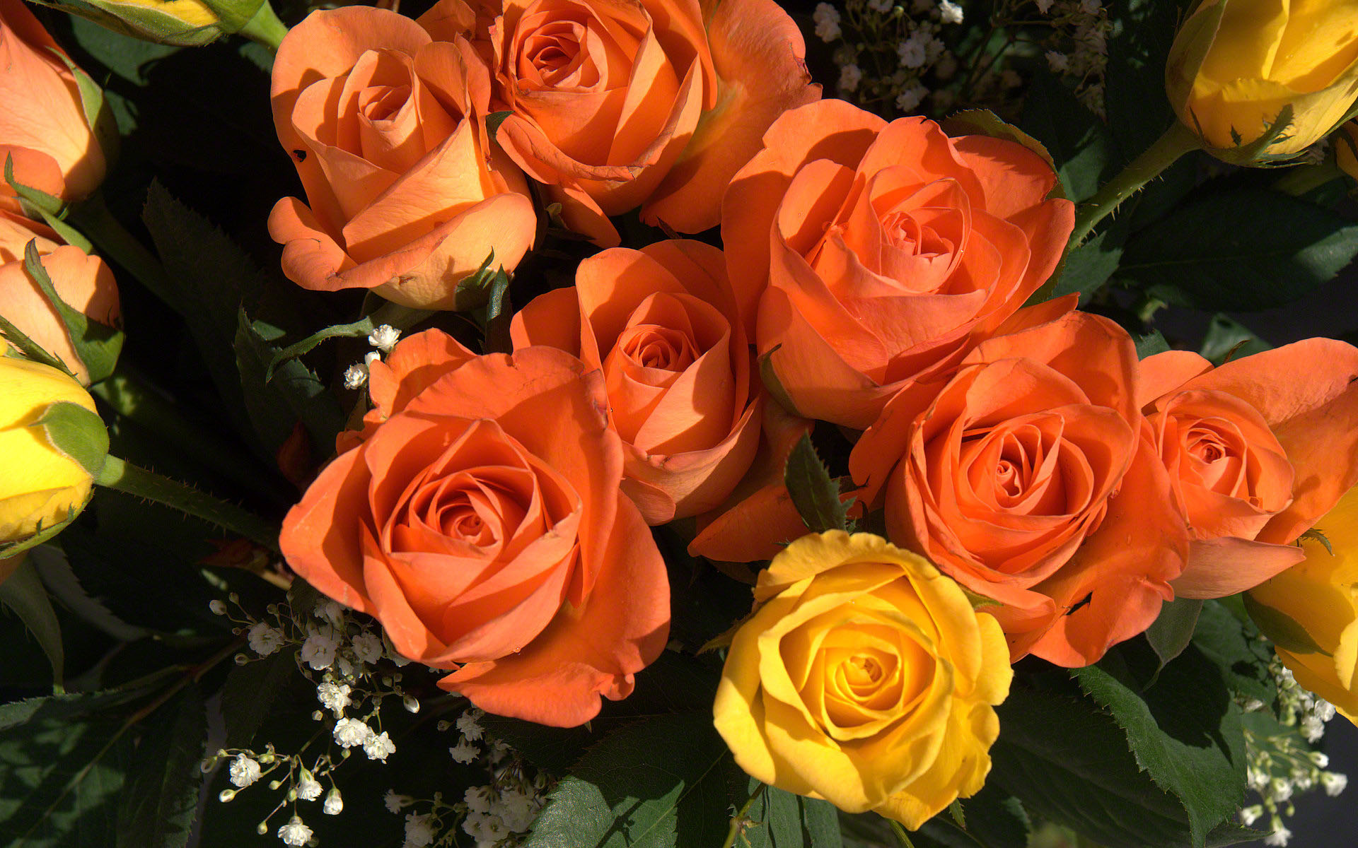 Rose Bouquet - Rosas Amarillas Y Naranjas , HD Wallpaper & Backgrounds