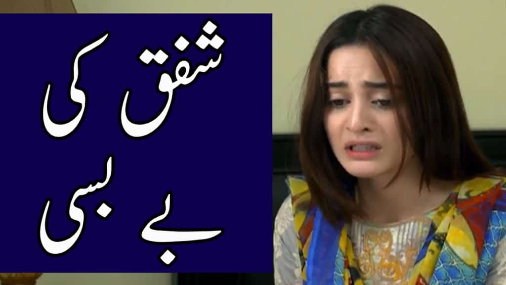 Ghar Titli Ka Far Drama 9 Episode , HD Wallpaper & Backgrounds