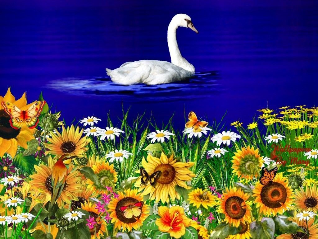 Spring Flowers Wallpaper Hd , HD Wallpaper & Backgrounds