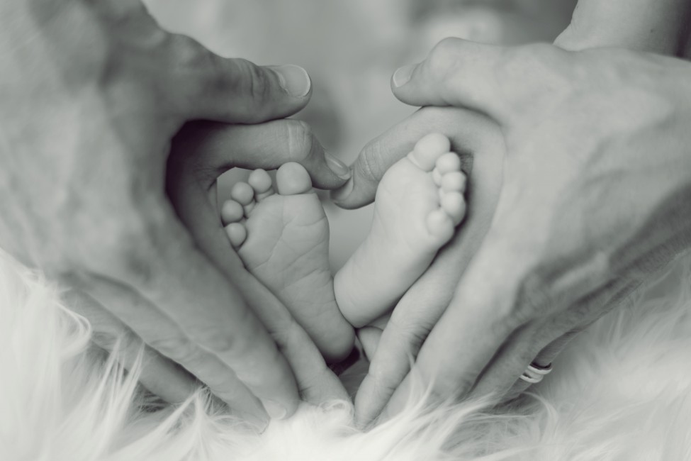 Family Hands Love Child Happiness Bw - Midwifery , HD Wallpaper & Backgrounds