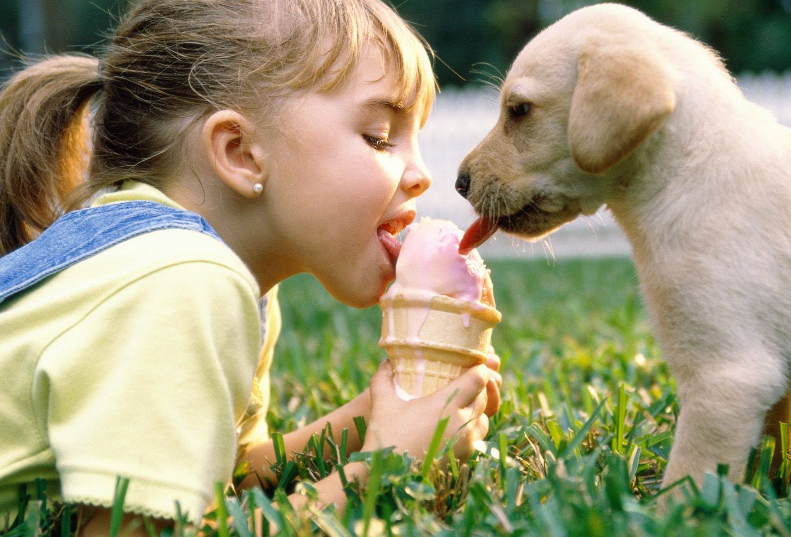 Girl And Puppy Dog Licking Ice Cream Cone Hd Wallpaper - Dog And People Love , HD Wallpaper & Backgrounds