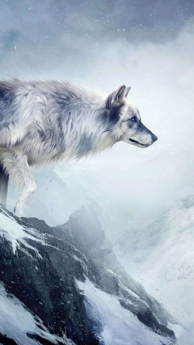 Wallpaper Wolf, 4k, Hd Wallpaper, Mountain, Girl, Animals, - Wolf Wallpaper 4k Phone , HD Wallpaper & Backgrounds